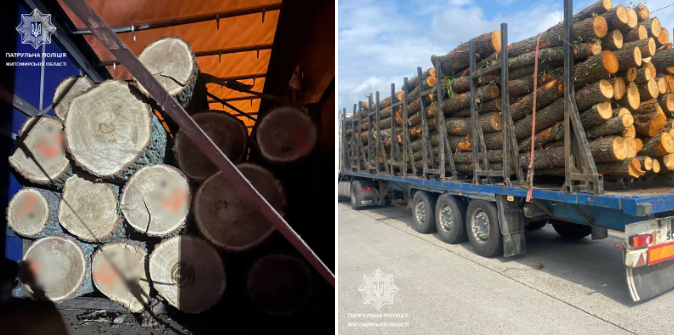 Майже півсотні порушень за місяць: патрульні викривають незаконні перевезення деревини на Житомирщині